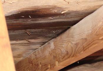 Rife Remodeling and Flooring Images